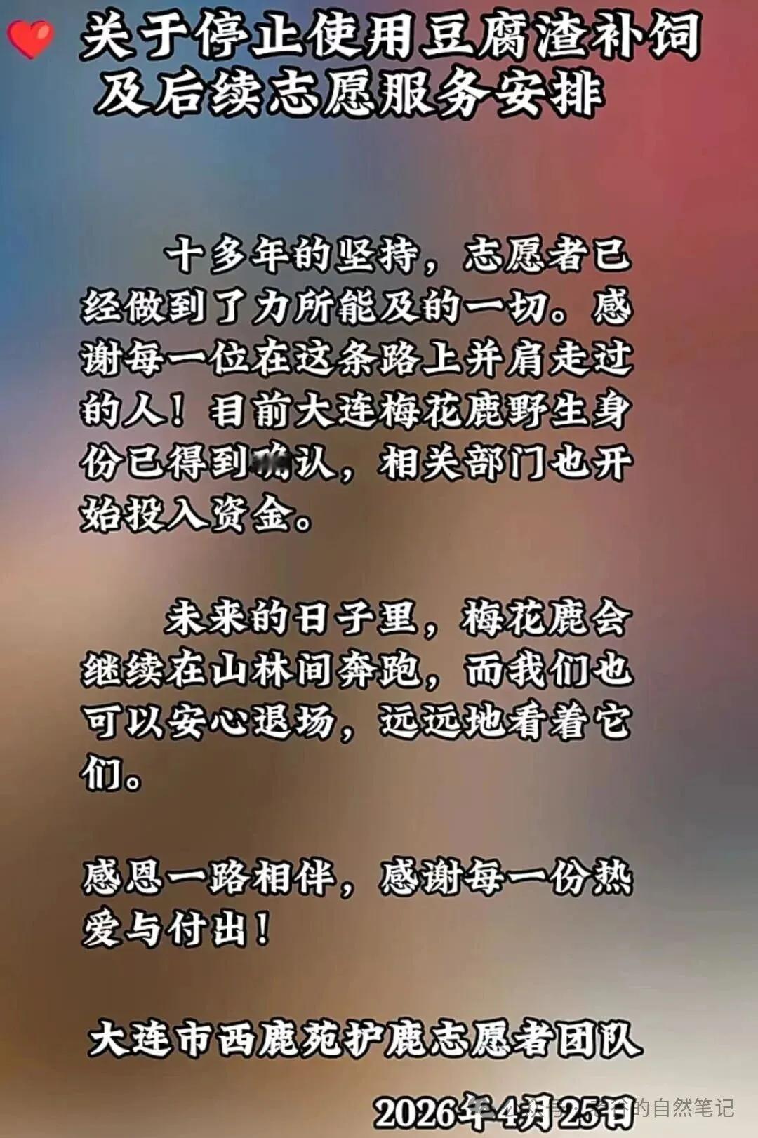 当爱已成负担：大连梅花鹿，是时候“放归”了

从大连市知名博主谷国强老师的公众号