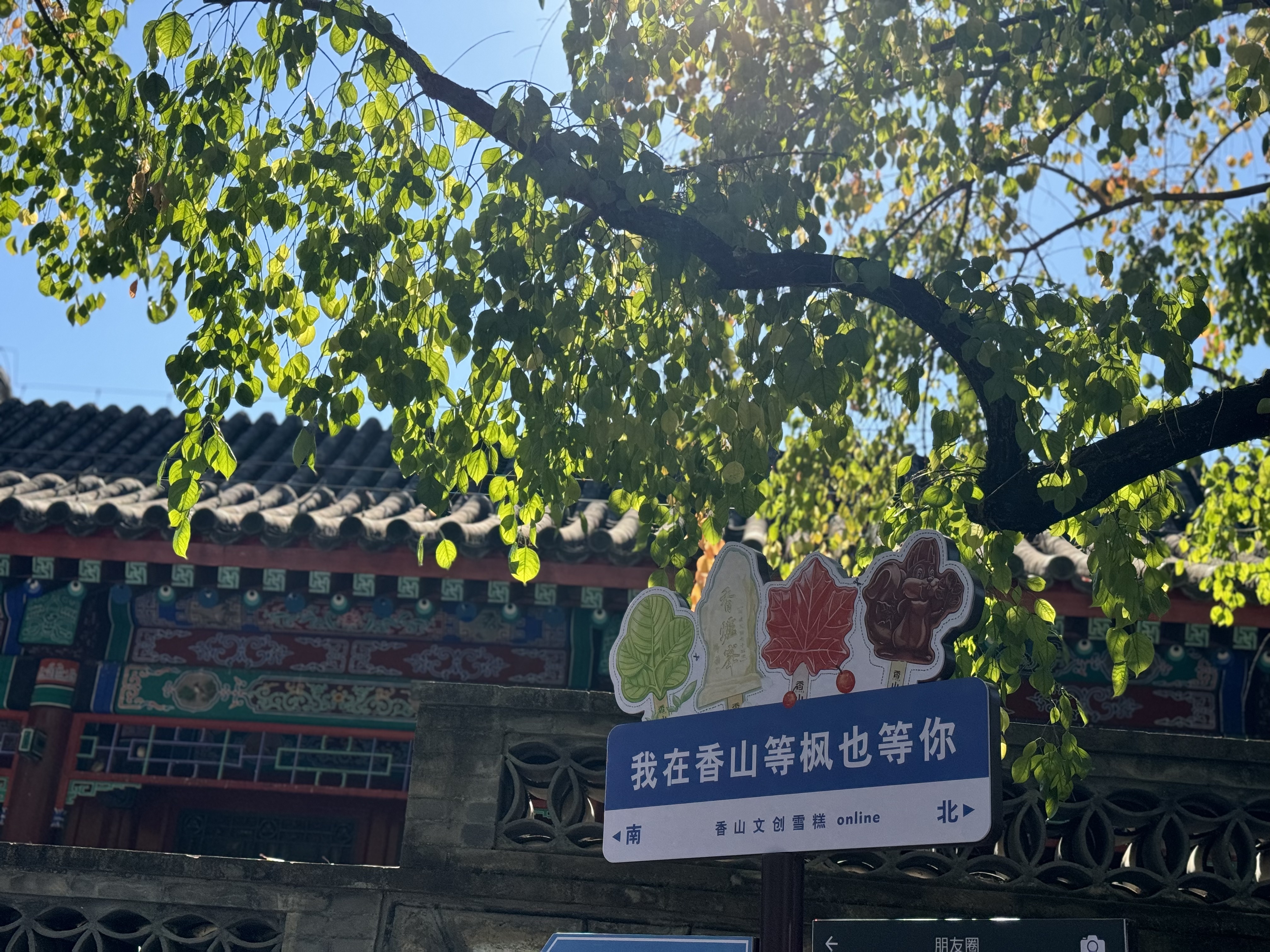 感受一下香山的自然风景，留下一片枫叶，像是在告别今年的秋天，天气逐渐转冷，还要多