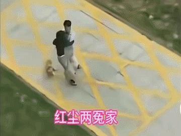谁能想到，家里一闹起来，最先遭殃的不是桌子椅子，反倒是“门门”？
这事看着像小打
