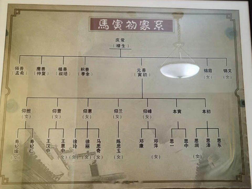 从马寅初的族谱可以看出，他最后有七个子女成年，并且大多数生育了两到三个子女。他的