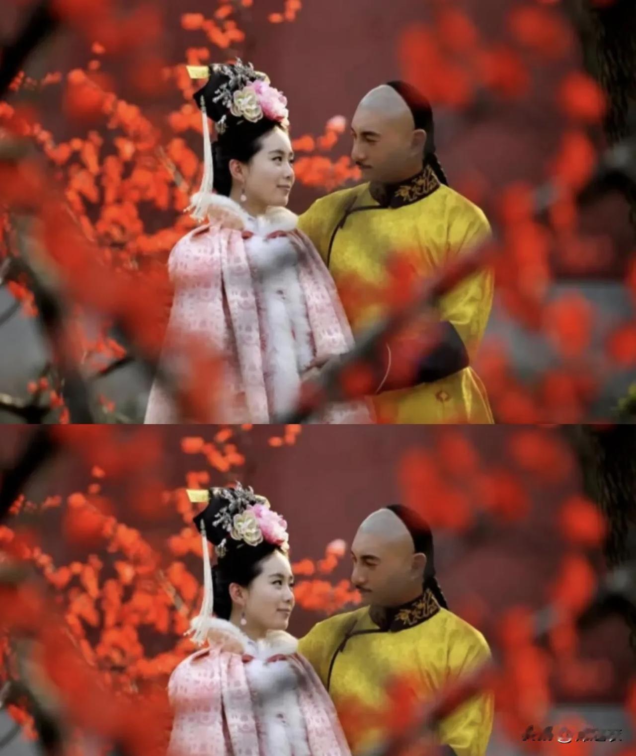 若曦帮了所有人，帮过后期的四爷吗，心疼八爷九爷十爷——找皇上算账，心疼玉檀——找