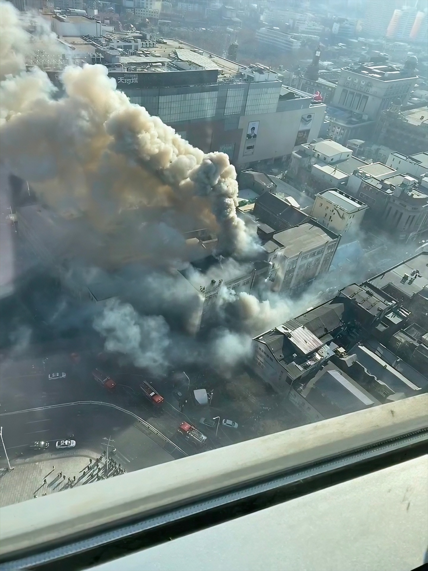 天津古丽花着了 