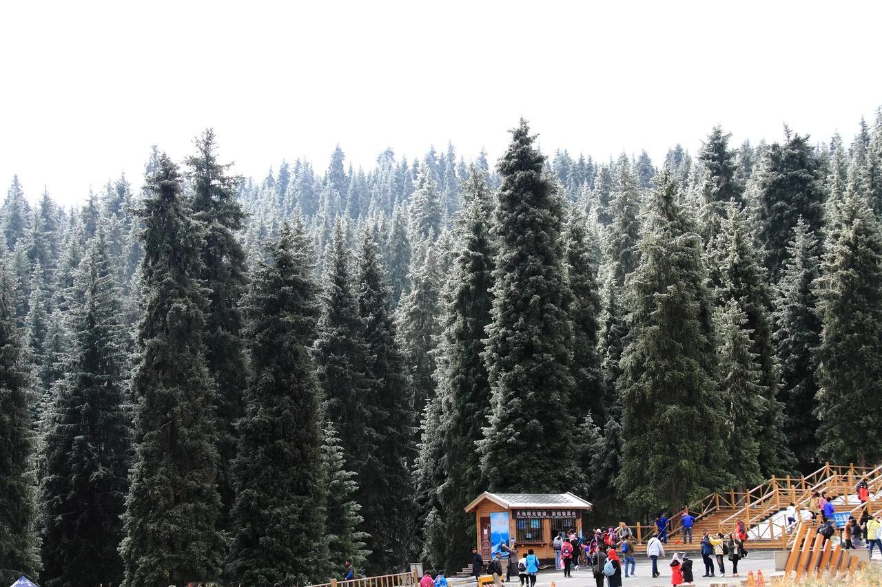 #秋日生活打卡季#
#晒出你眼中最美的新疆#


【天池雪松】20241028