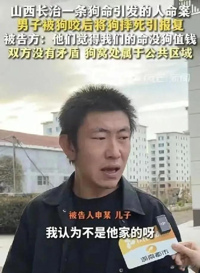 狗命重要，还是人命重要？中国人民才吃饱饭没多少年，已经要思考这样的问题了吗？
