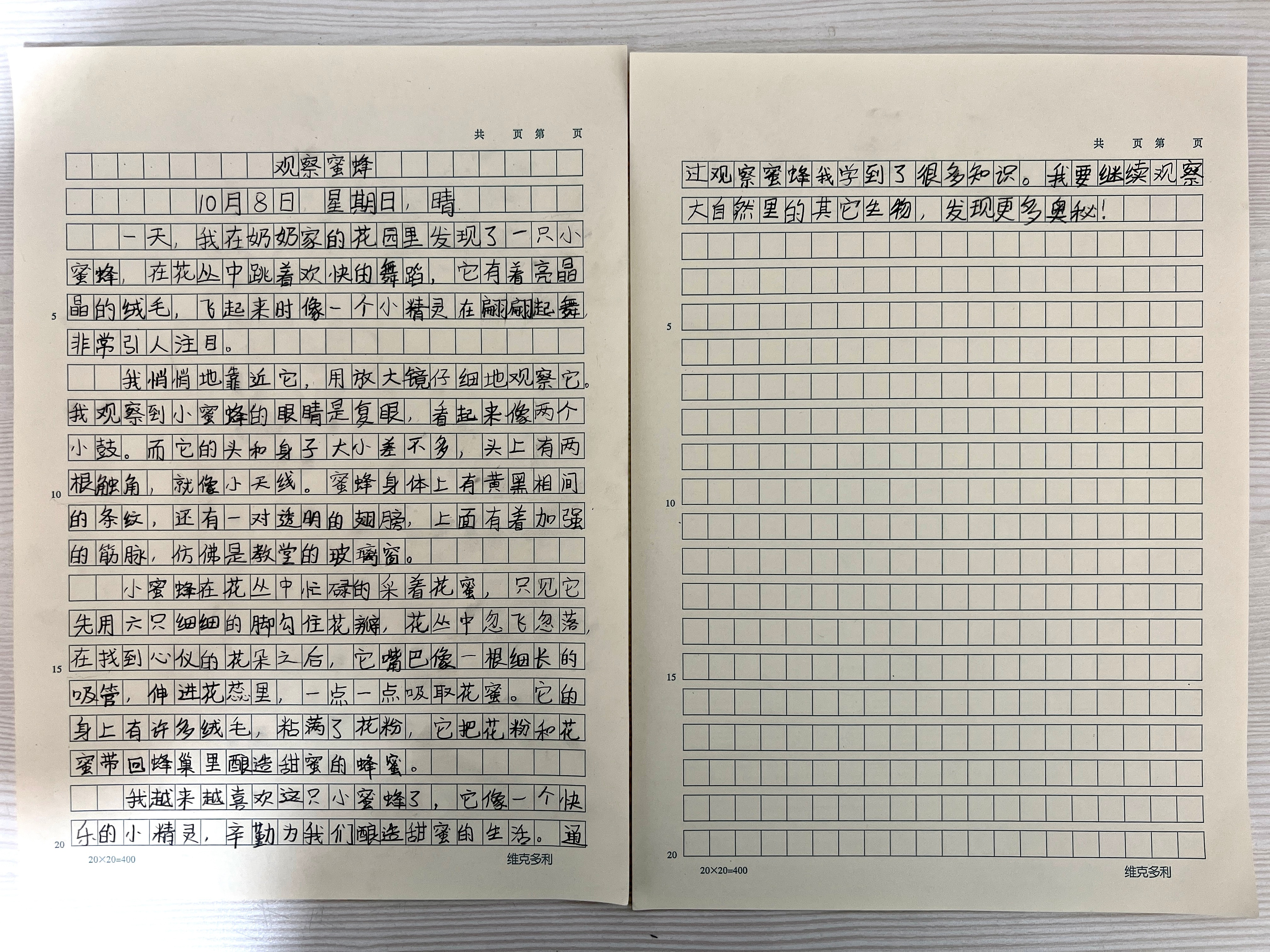 三年级写这样是不是不太行啊？ ​​​