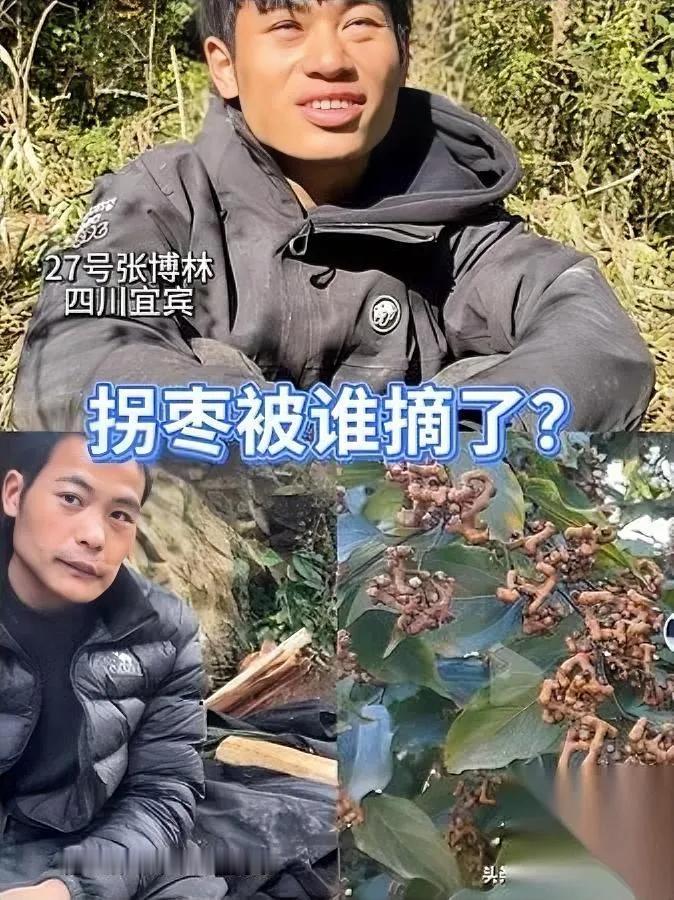七星山的拐枣，全没了？

林北早盯着那几棵树，现在只剩光杆儿；

刀疤哥一听就笑