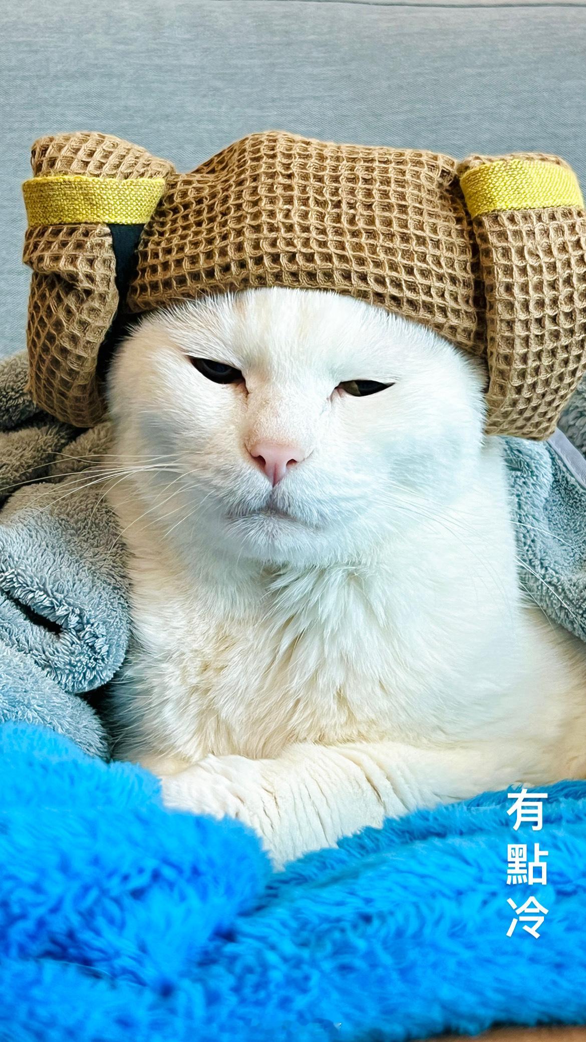 今天冷冷～注意保暖哦～ ​​​