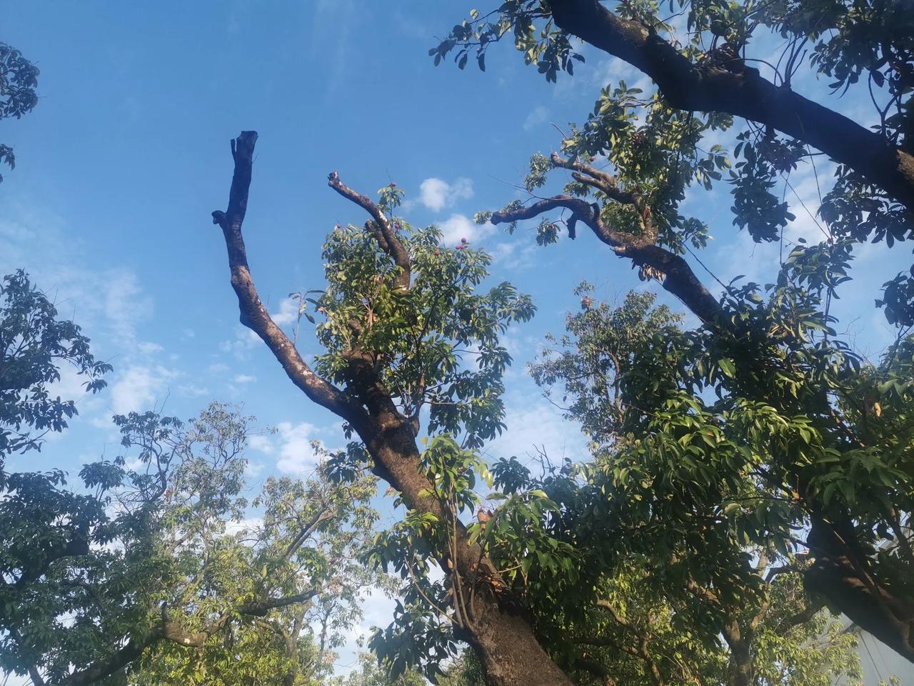 职称指标不放开，教师就永远不会取消排名。僧多粥少就必须要一决胜负。有些老师在幻想