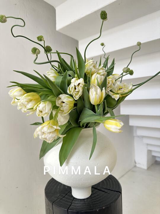 PIMMALA｜柠檬挞🍋