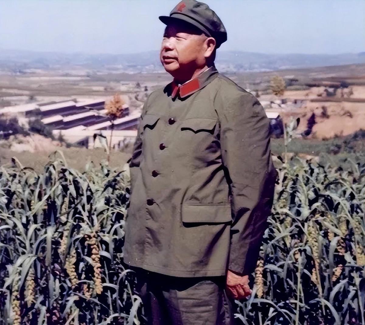 1976年毛主席病逝后，叶剑英刚想离开北京回广东，陈锡联紧急打电话劝阻：您不能离