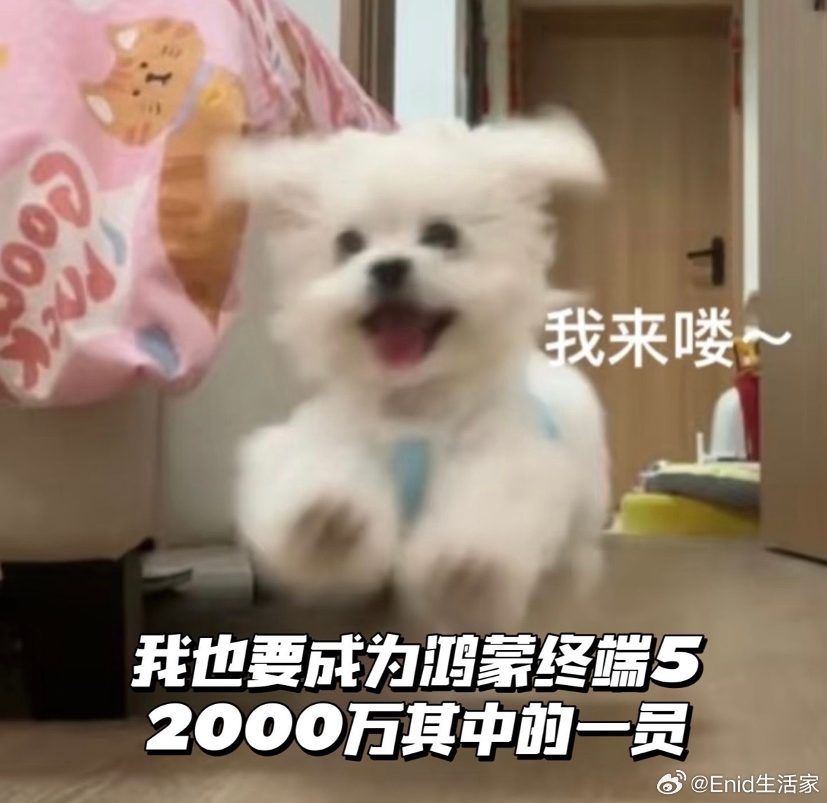 余承东宣布鸿蒙5终端设备超2000万 真没想到鸿蒙 5 终端设备数仅用两年就突破