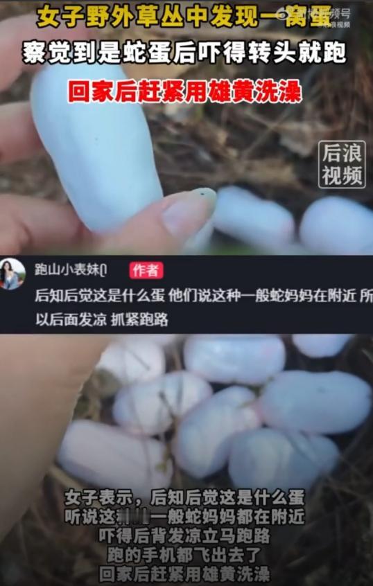 山上的野蛋也敢碰？5月7日，领潮新闻的这条消息，看得人后背直冒冷汗。浙江这位大姐