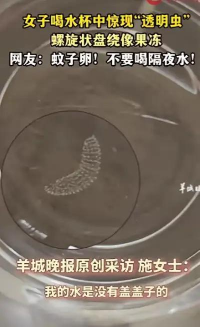 你有没有过这样的经历？
早上迷迷糊糊起来，喝口水提提神，结果一不小心就遇上“惊喜