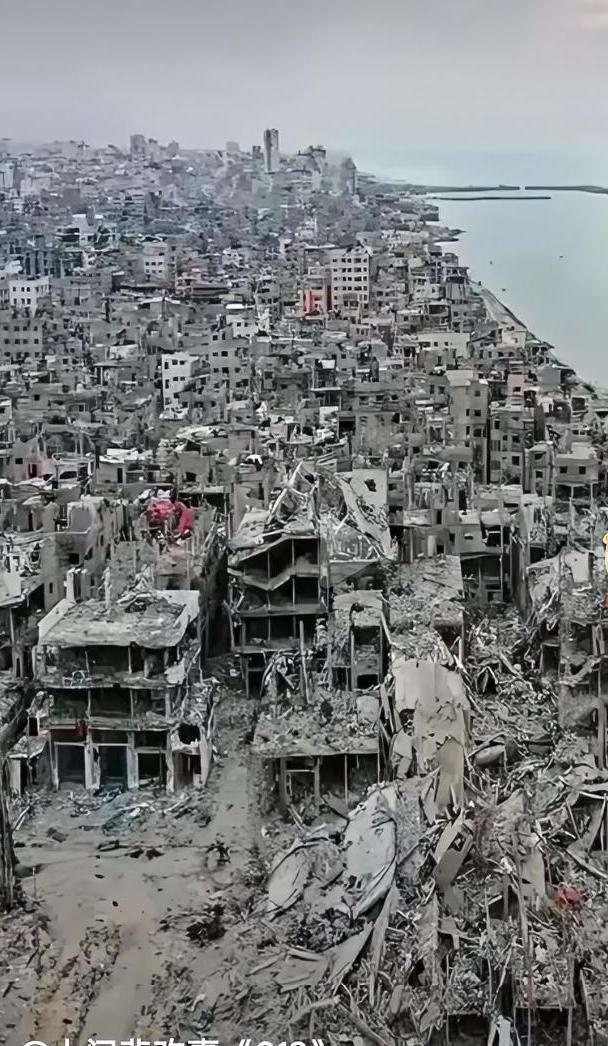 摄像头本来是伊朗政府用来监控本国公民的，用于识别和追捕抗议者、异见人士。结果被以