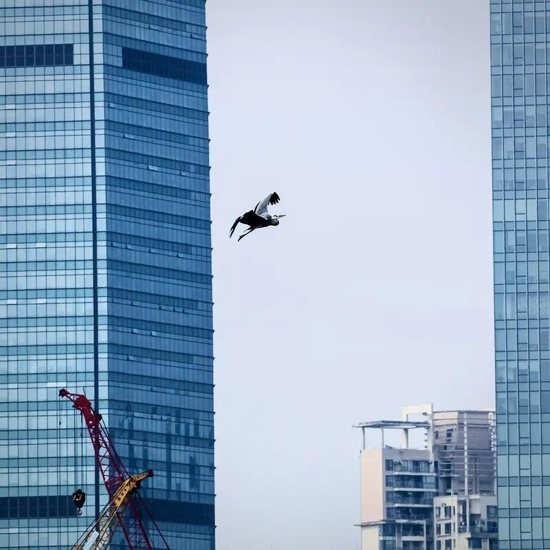 上联：海阔凭鱼跃；念姐邀对天高任我飞。