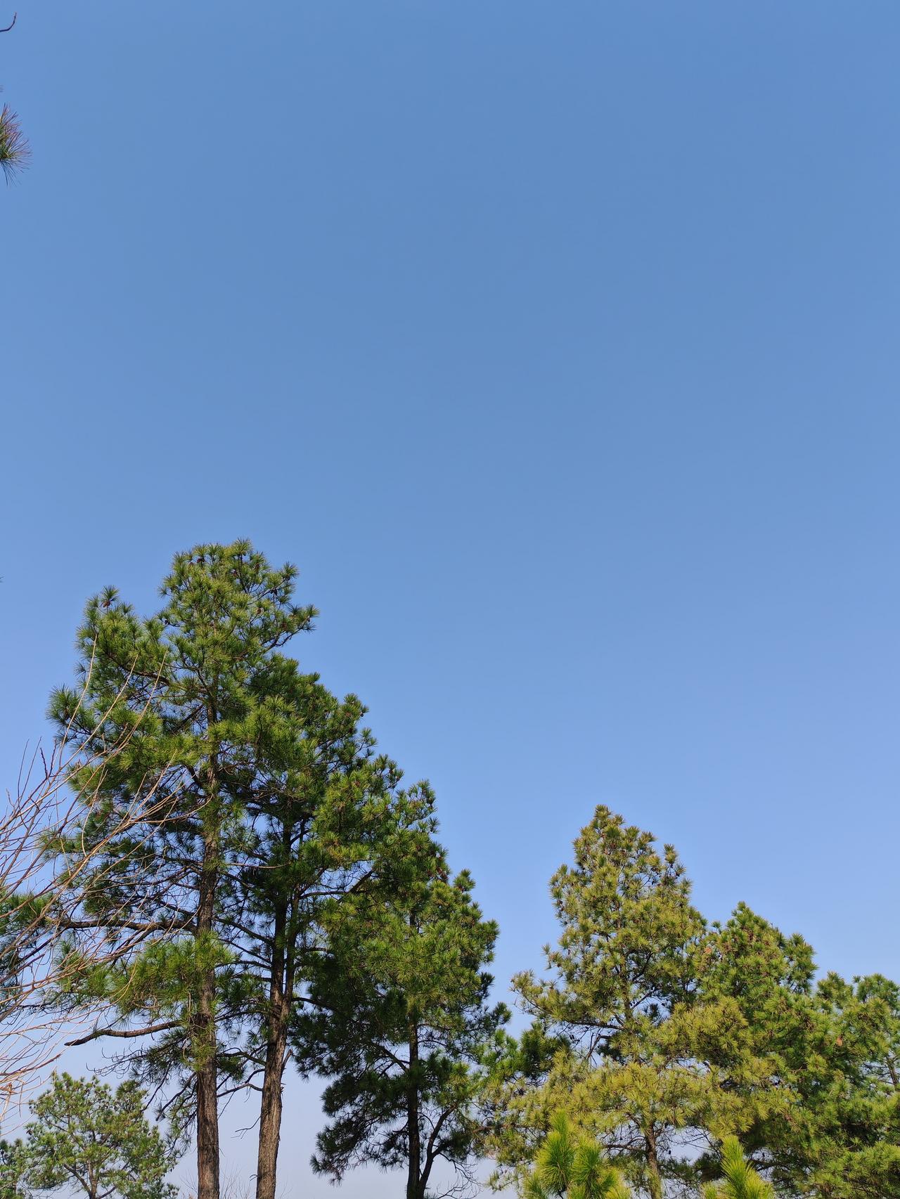 现在都不怎么办年货了，每天都像过年一样。