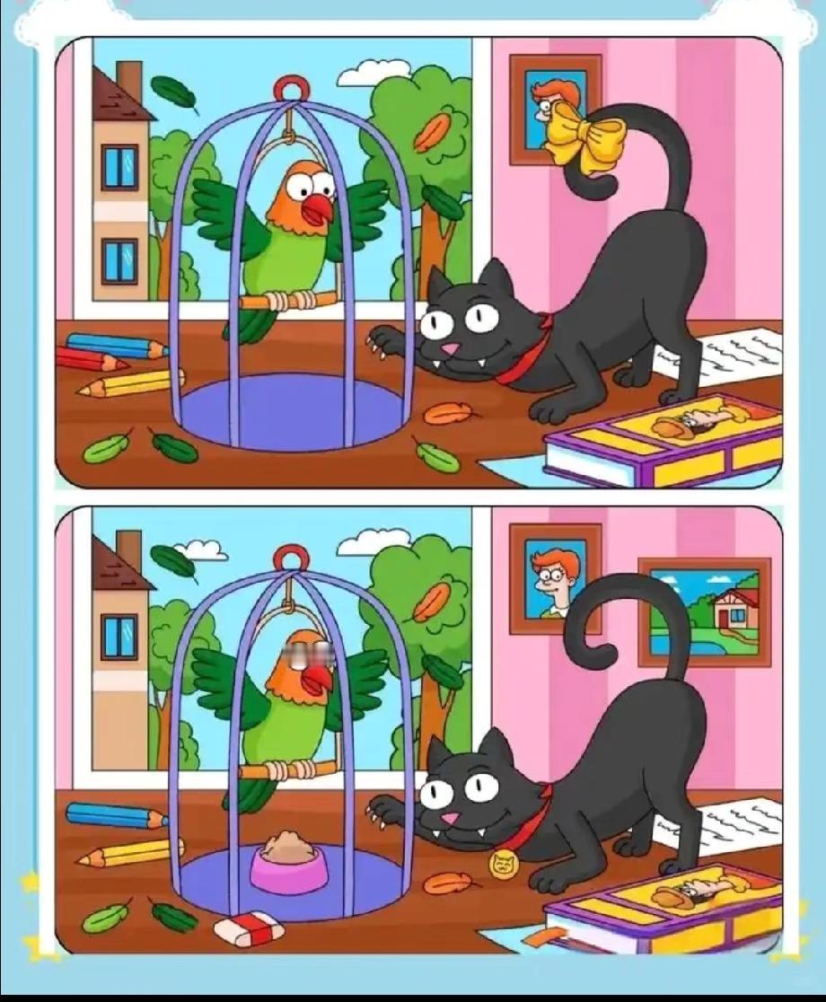 全网都在找的“黑猫鹦鹉”不同点，我找了5分钟才发现，你能秒答吗