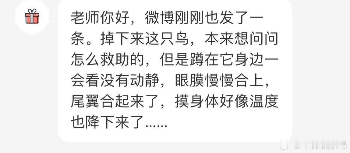 #撞玻璃的鸟# 撞玻璃的【红翅凤头鹃】飞行中的撞击往往是致命的来世再飞[泪] ​