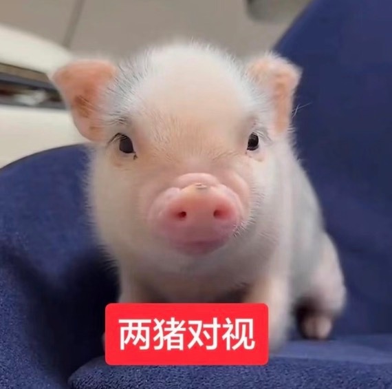 分享图片 ​​​