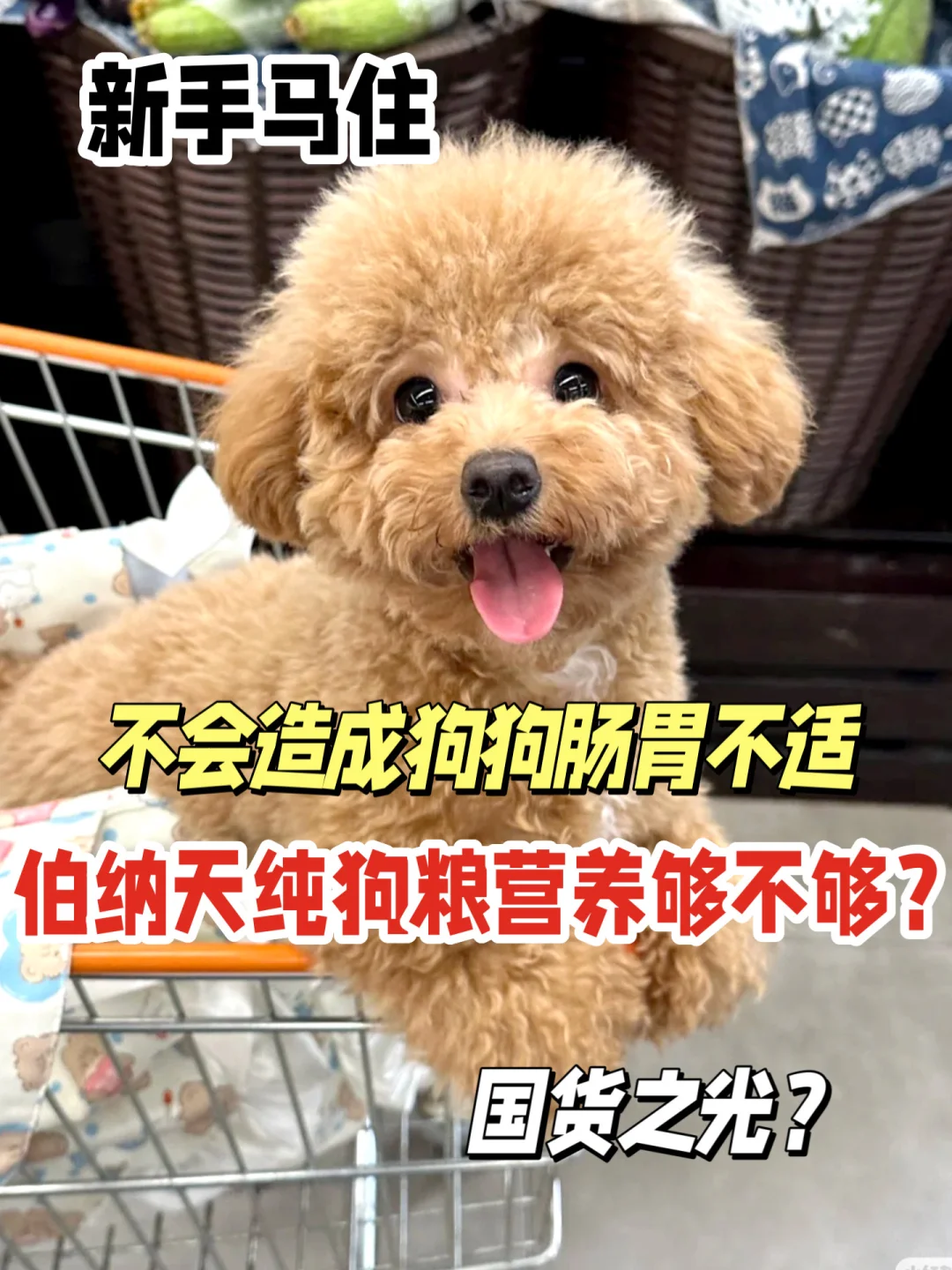 伯纳天纯狗粮，狗狗的健康守护星！！
