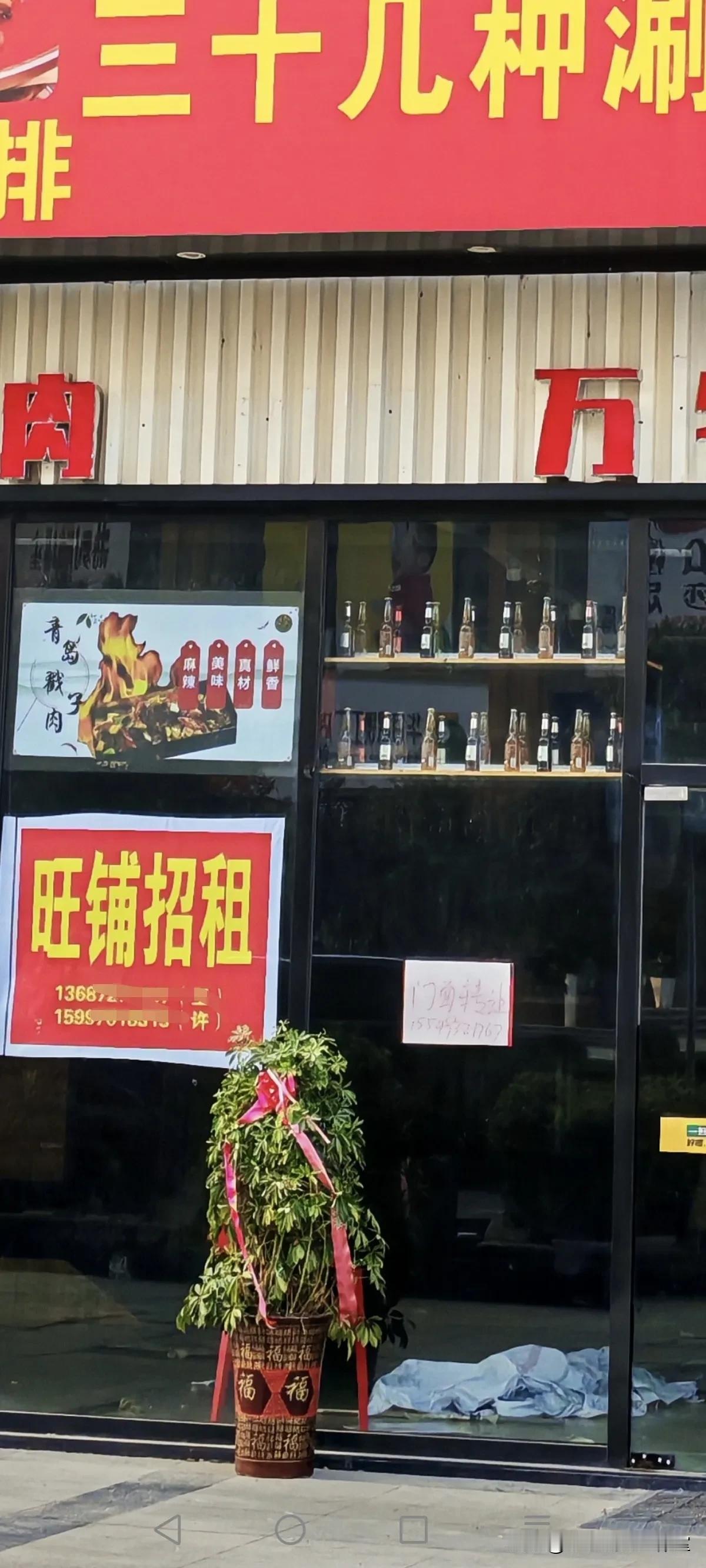 宜昌市夷陵区东湖大道上，来自山东青岛的一家很有特色的餐饮店，刚开业的时候，那盆开