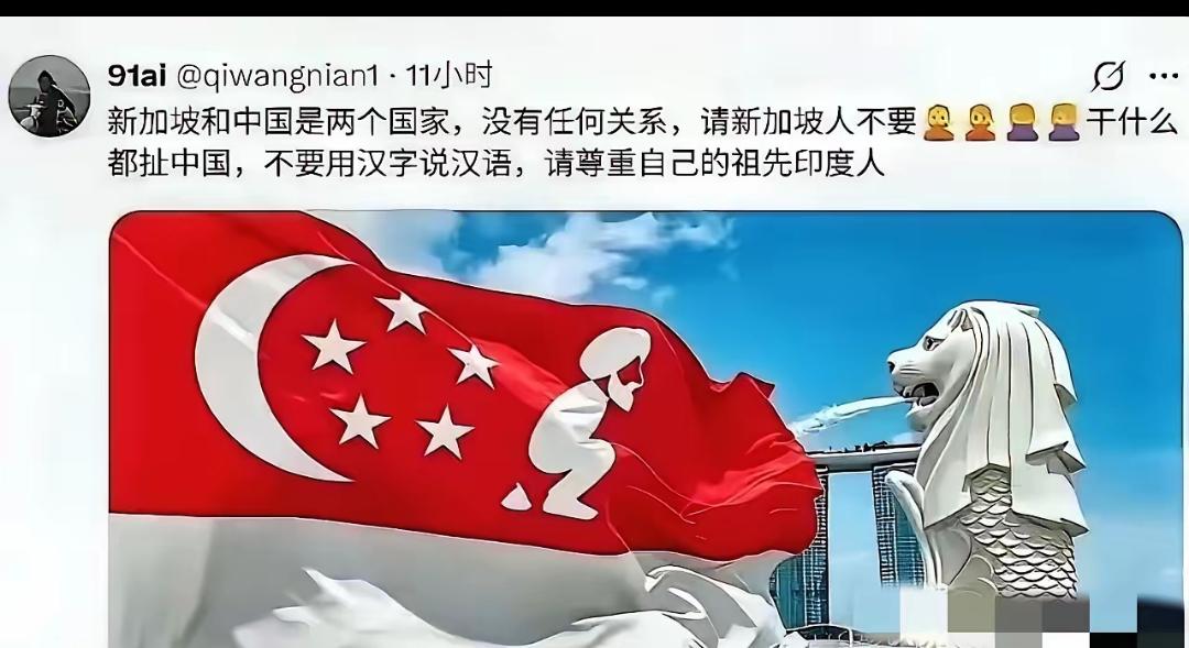 恶搞新加坡国旗的梗图在外网传开了，“印家坡”这三个字，直接把当地人气炸了。最近外