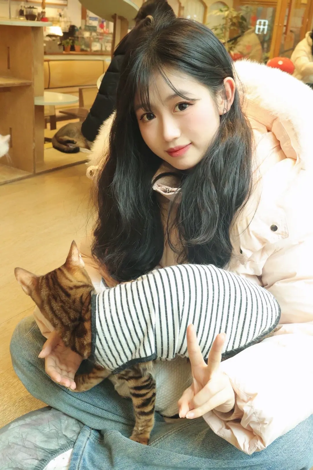 猫猫治愈❤️‍🩹