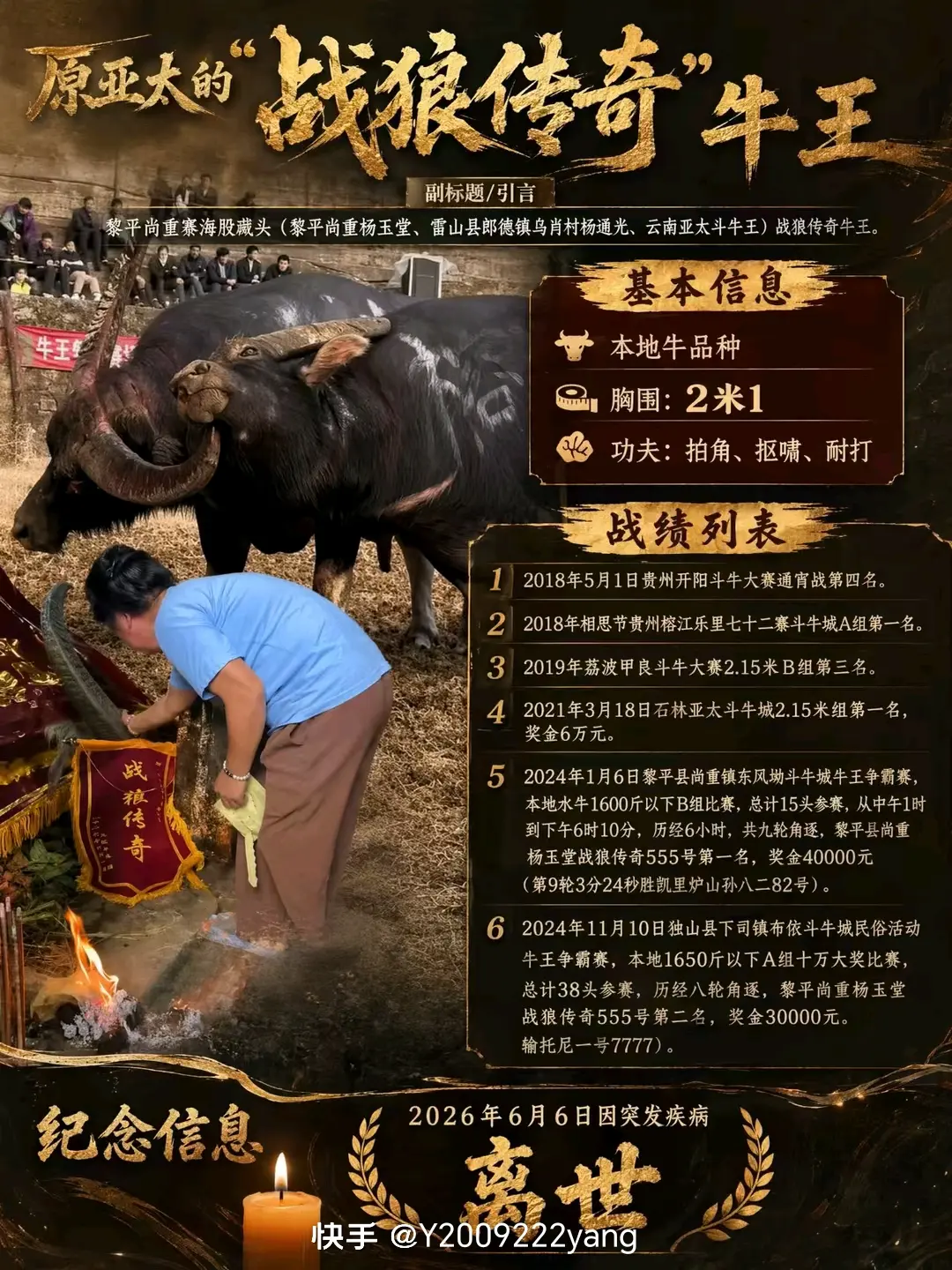 🐂