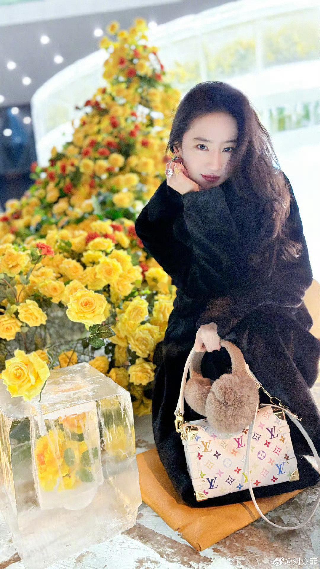 刘亦菲真去哈尔滨看冰封黄玫瑰了！好美的一姐[举手] 