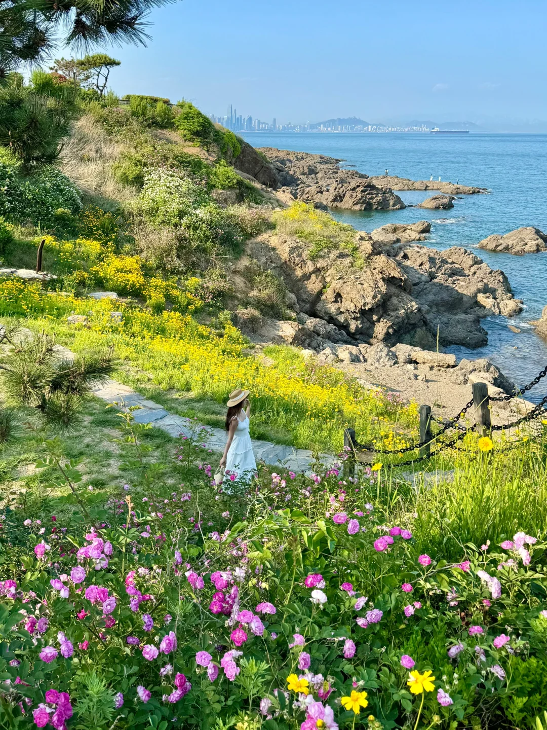 3-5月的青岛是这样的！！！🌊这片海都是花🌼