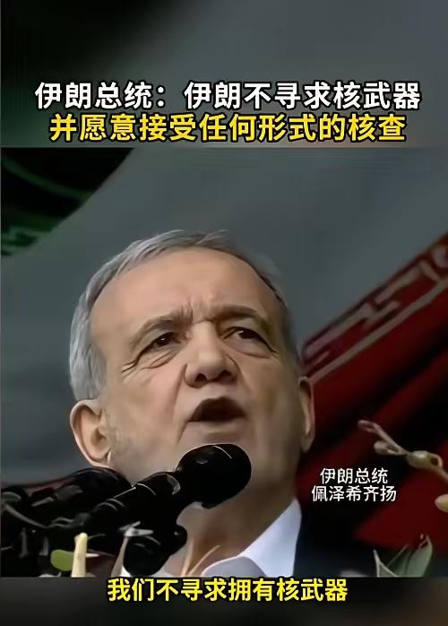 伊朗总统佩泽希齐扬：“我们该用什么语言证明伊朗不寻求核武器？任何核查我们都愿意接