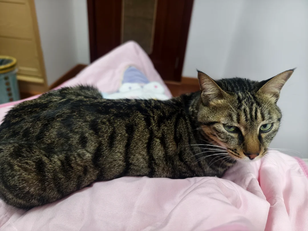 上班三年半了，还是会有惴惴不安的时候，尤其是快到四月了，该来的任务都会...