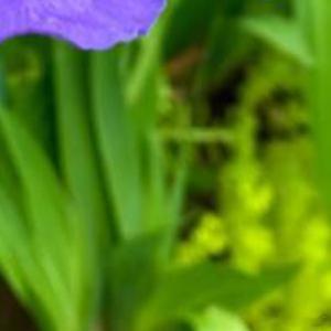 每日一善每日一善 对于生活，要存有期冀，存有感恩之心，但不作非分之想。一个生日怎