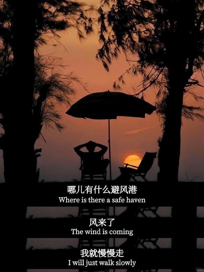 “到了一定岁数，自己就是自己的屋檐” 