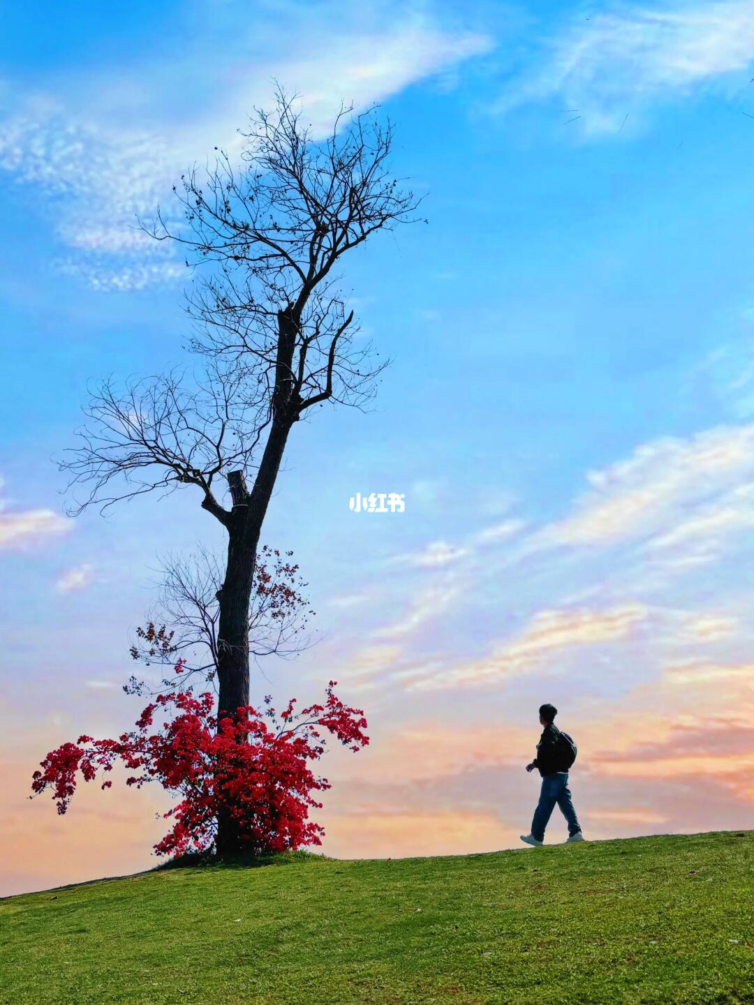 “朋友都说我拍的深圳，像一部电影🎬”