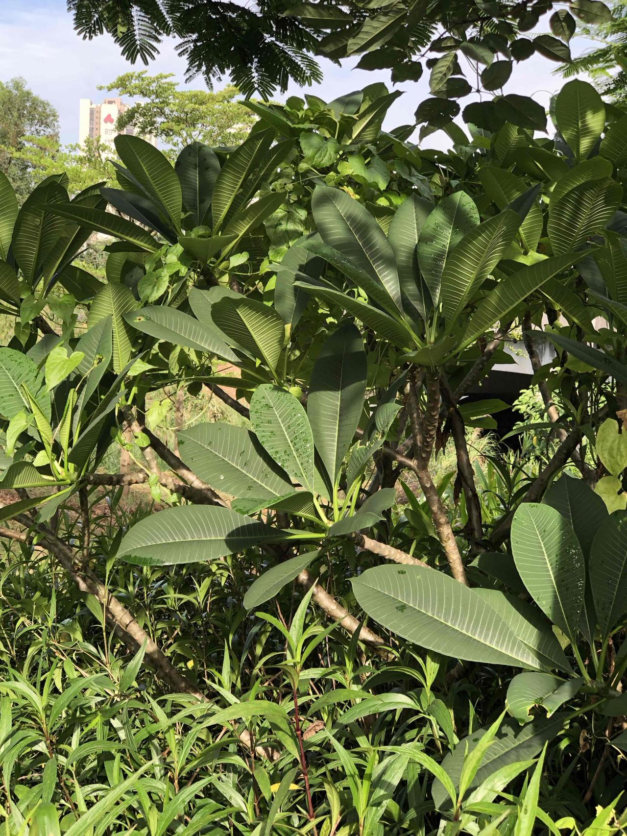 十年省吃俭用，把牙缝里抠出的钱攒成一间小铺，本以为是后半辈子的依靠，如今却成了心