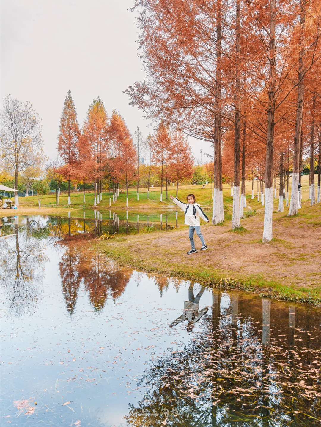 被惊艳的武汉小众地，地铁直达人少巨巨巨美
