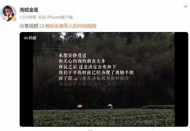 李亚鹏官宣又离婚了，孩子的归属母亲，到时由双方共同抚养，，我是没想到啊，这都第四