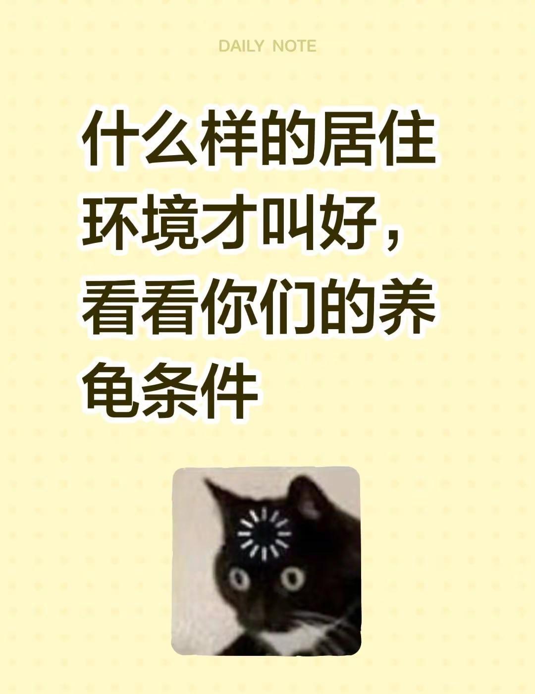 我一直觉得，无论什么环境，能把龟养好就行。什么样的居住环境才叫好，看看你们的养龟