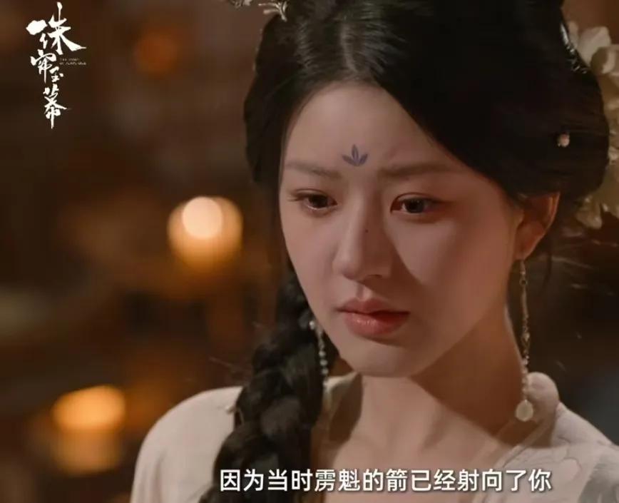 《珠帘玉幕》
苏幕遮解开了对燕子京的误会，原来燕子京做的一切都是为了保护苏幕遮，