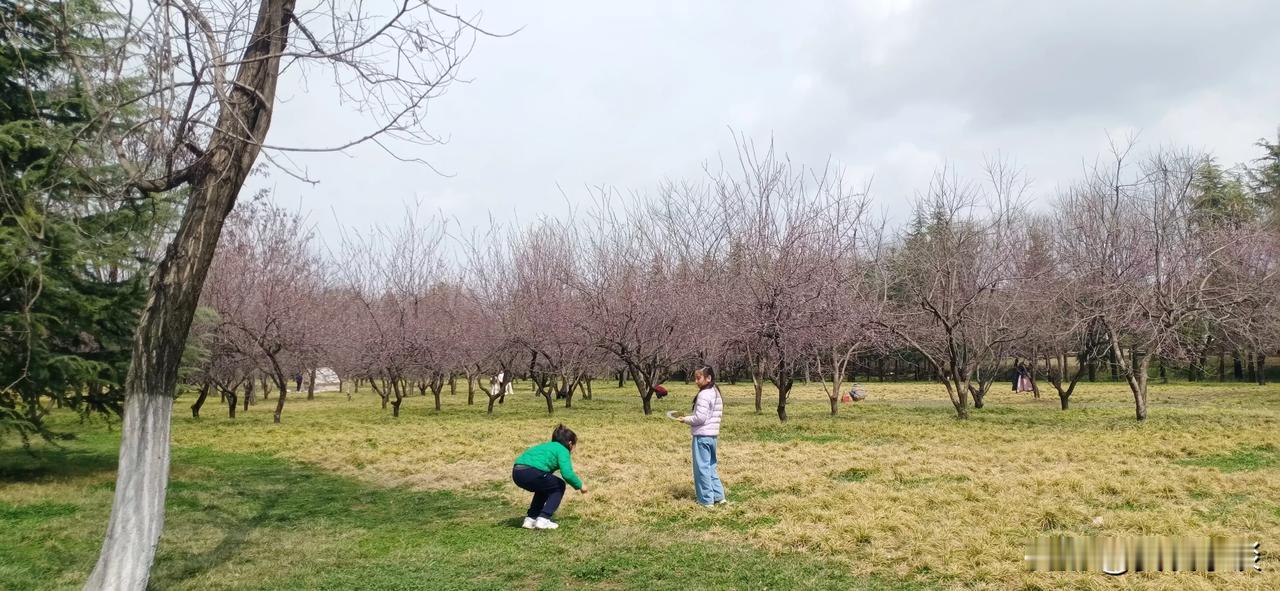 杜林遗址公园位于西安市南郊，北邻汉宣帝陵，和长安区接界，南边有西安新植物园，东边