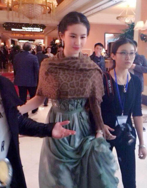 你也许没见过的刘亦菲照片 