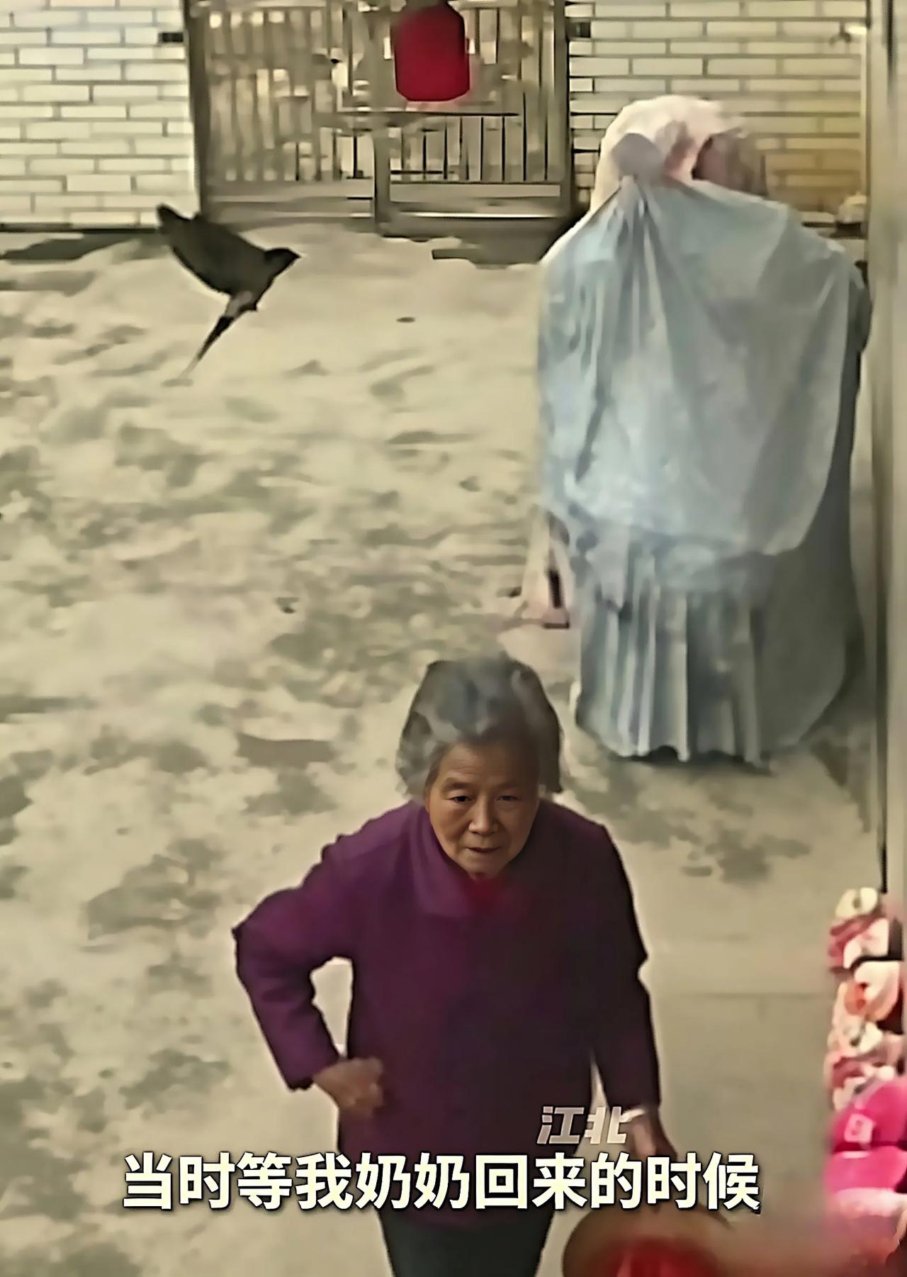 奶奶出门忘留门窗，燕子有家进不去，一幕悟透人间道理
 大家总觉得大事才值得放在心