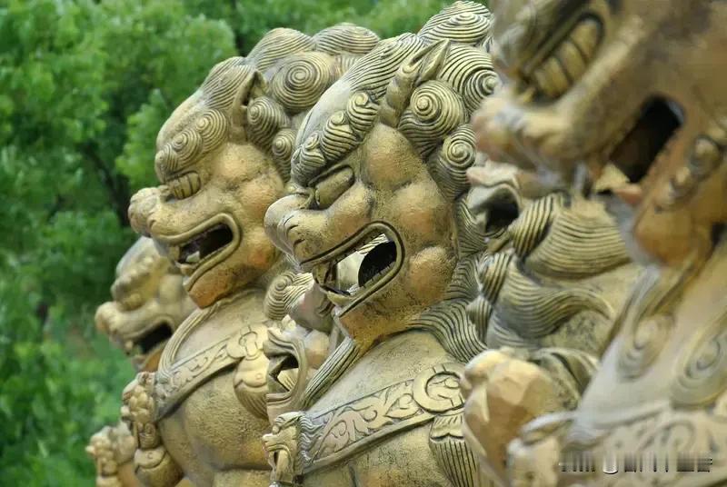 东帝汶总统若泽·拉莫斯·奥尔塔直言，五常中仅中国未卷入战争，这话说得太实在了。在