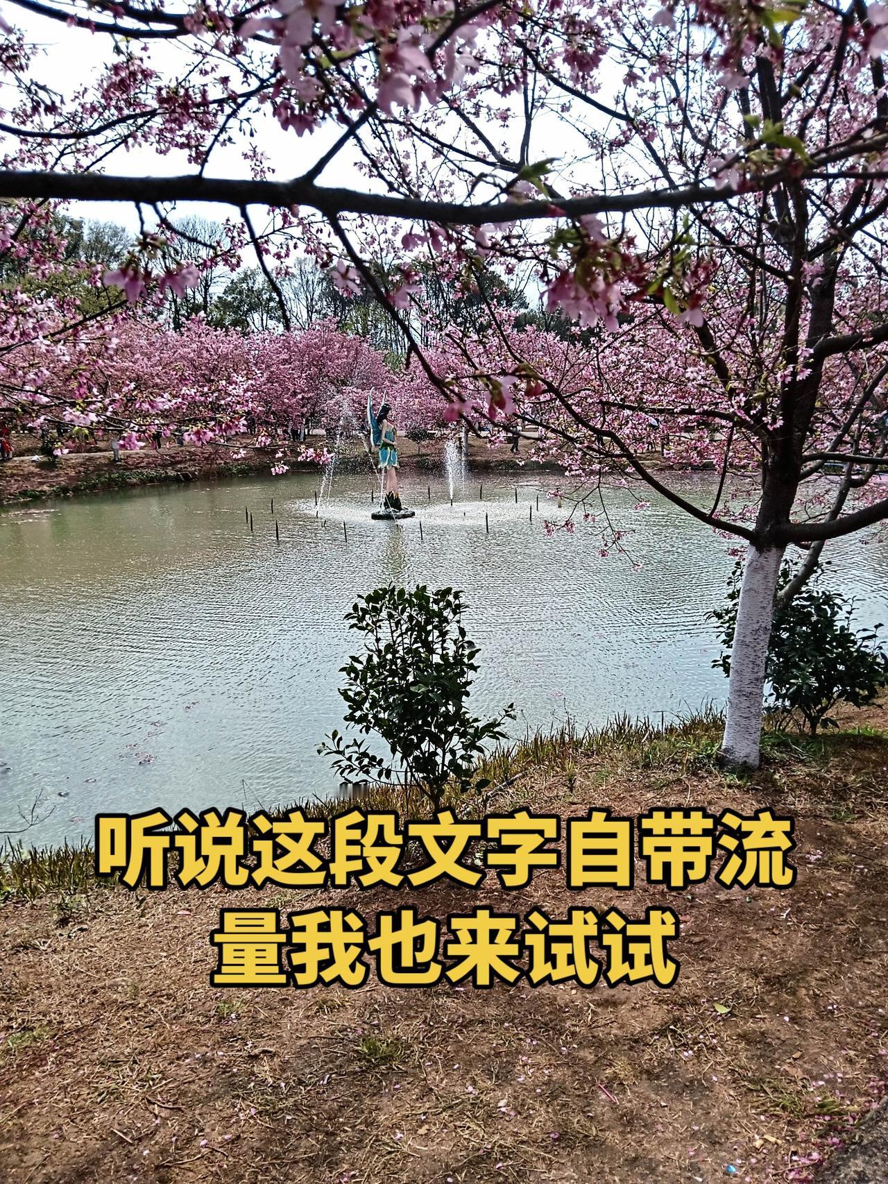 抖音玩法合伙人计划 独白玩法训练营