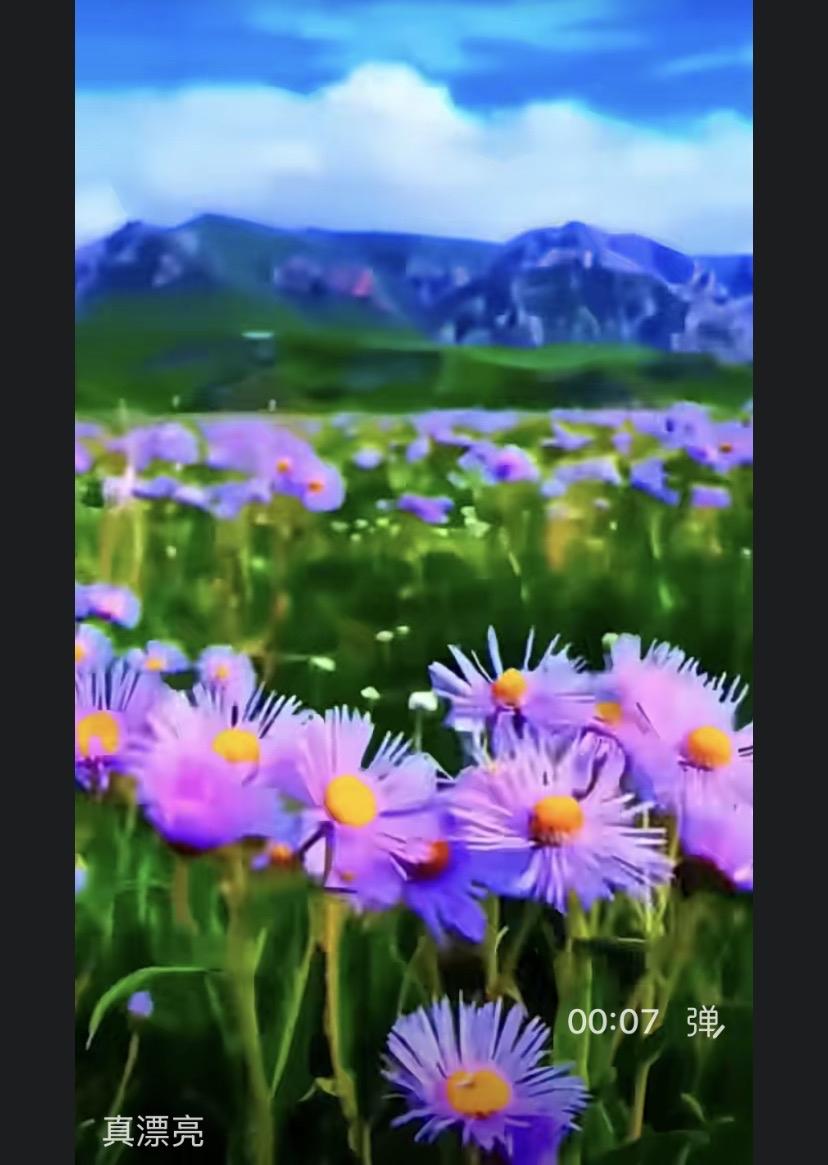 社会上还是好人多，这个徐先生真的直得点赞👍  希望有更多的徐先生那样的优秀善良