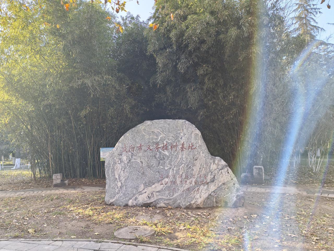 沣河岸边 沣河森林公园位于沣河、世纪大道和扶苏路交叉的三角地带，占地156亩。园