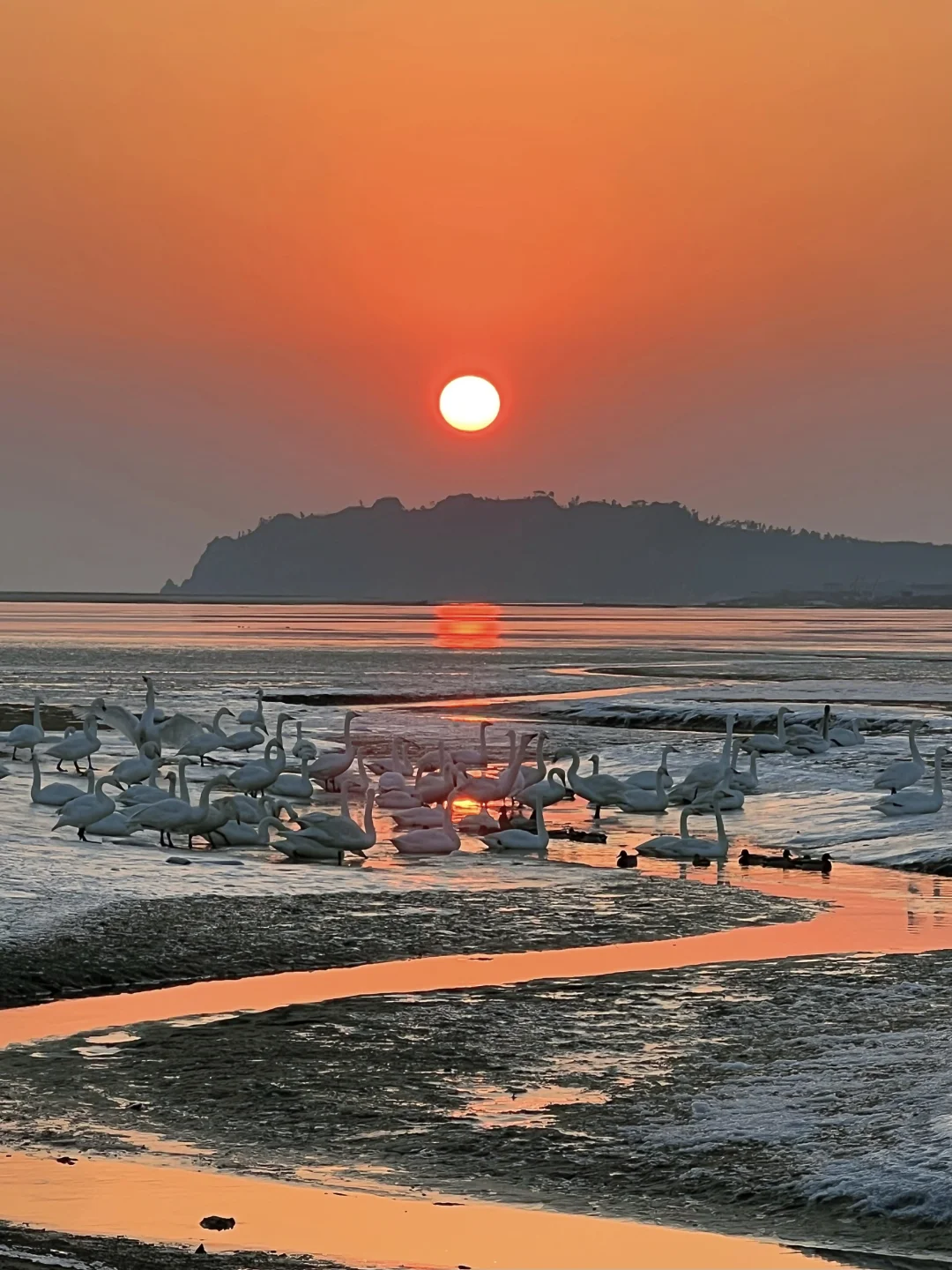 谁懂啊！在威海追到了人生最美日出