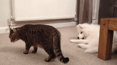 花少摄影师发了99张北斗七行【从熟人到朋友需要100个小时】从熟人变成好友，究竟