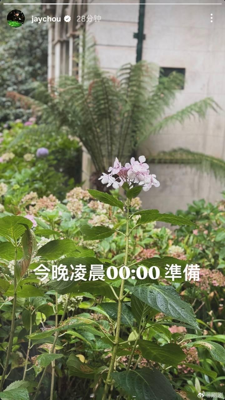 新歌真要来了！周杰伦发文：今晚0点准备！周杰伦